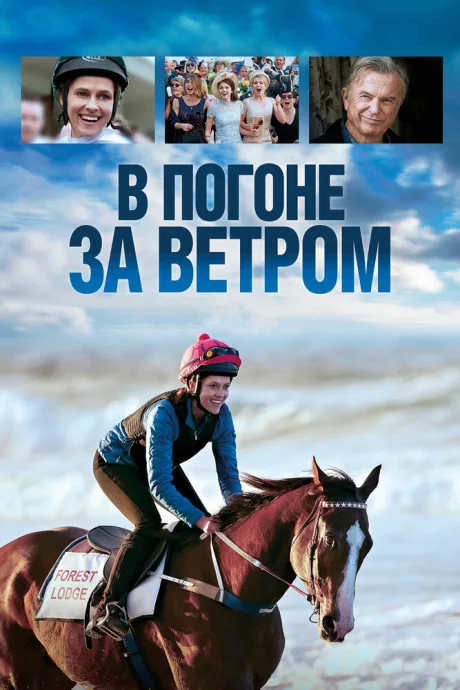 В погоне за ветром — постер