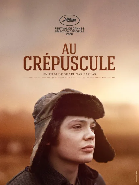 В сумерках — постер