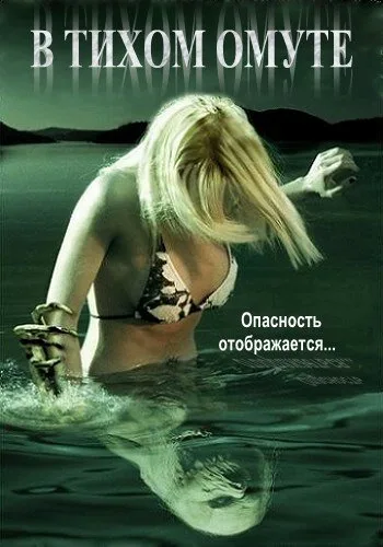 В тихом омуте — постер