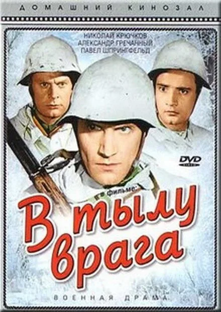 В тылу врага — постер