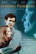 Вечерний первоцвет — постер