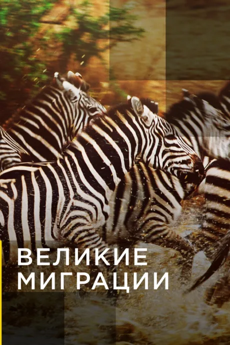 Великие миграции — постер