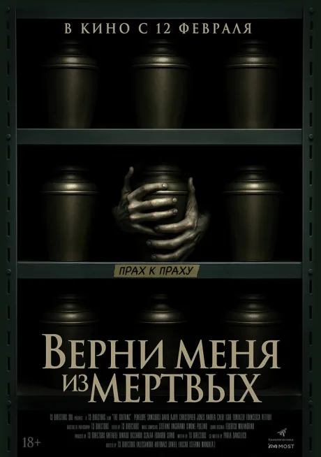 Верни меня из мёртвых — постер