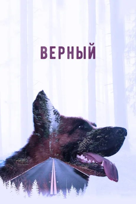 Верный — постер
