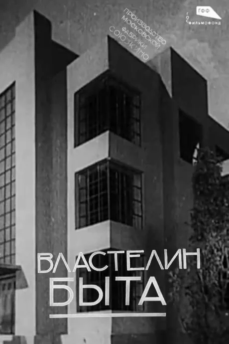 Властелин быта — постер