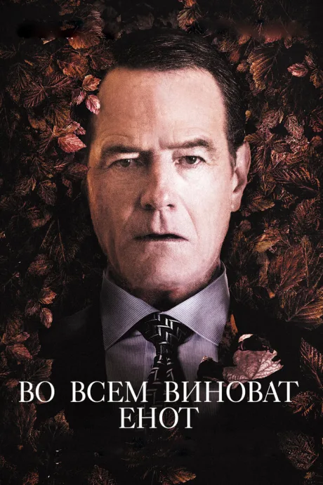 Во всем виноват енот — постер