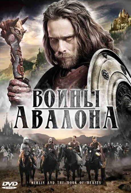 Воины Авалона — постер