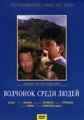Волчонок среди людей — постер