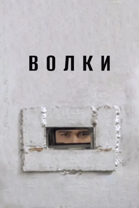 Волки — постер
