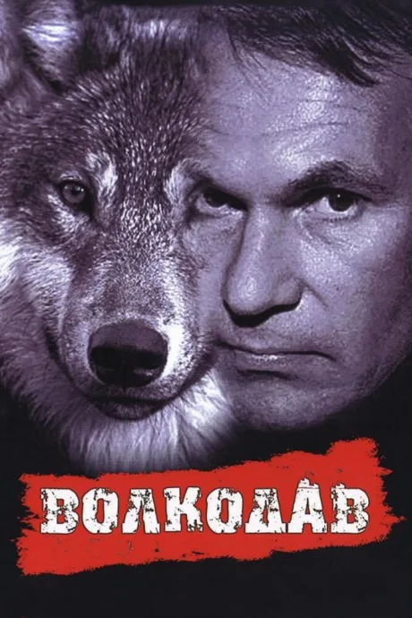 Волкодав — постер