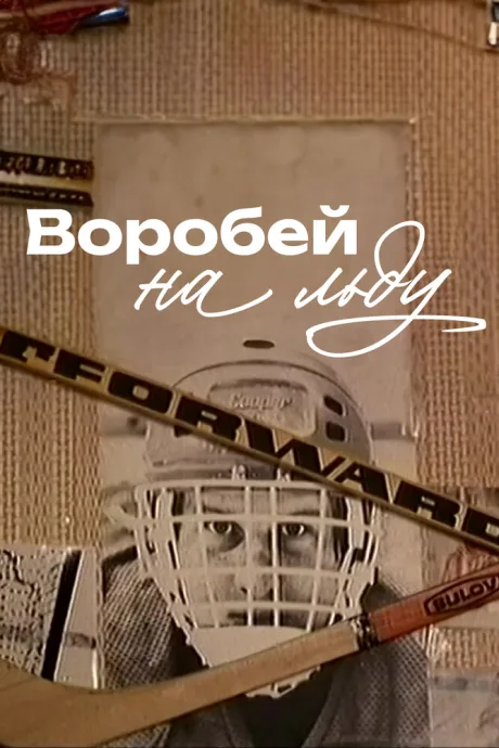 Воробей на льду — постер