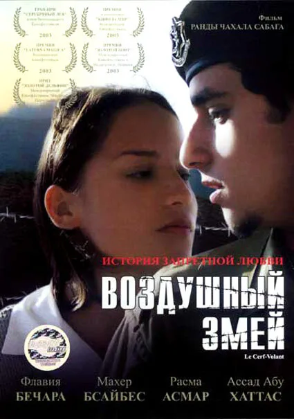 Воздушный змей — постер