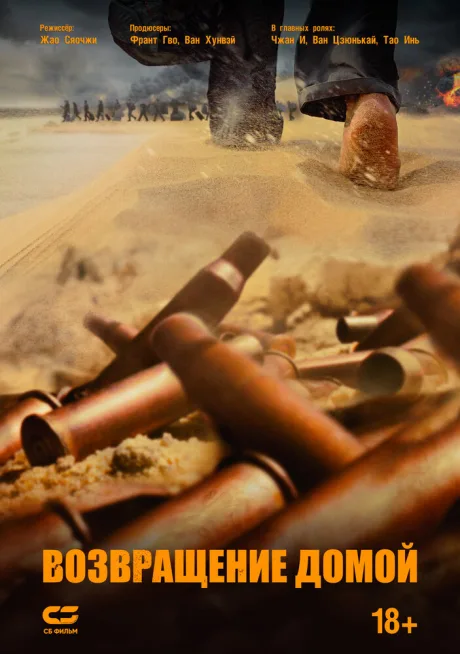 Возвращение домой — постер