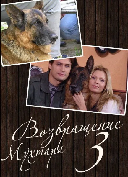 Возвращение Мухтара 3 — постер