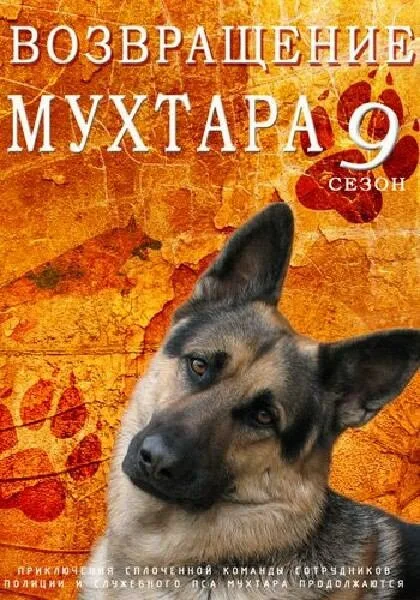 Возвращение Мухтара 9 — постер