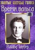 Время вальса — постер