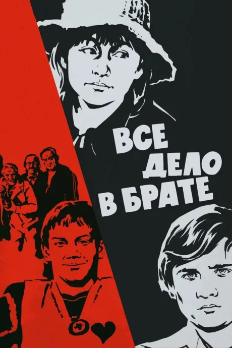 Все дело в брате — постер