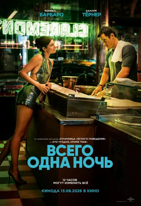 Всего одна ночь — постер