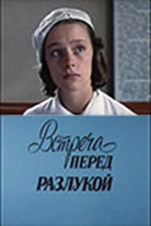 Встреча перед разлукой — постер