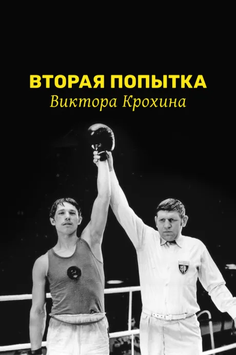 Вторая попытка Виктора Крохина — постер