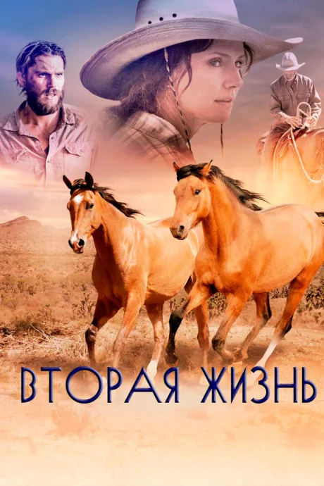 Вторая жизнь — постер