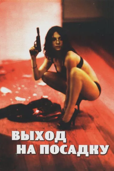 Выход на посадку — постер