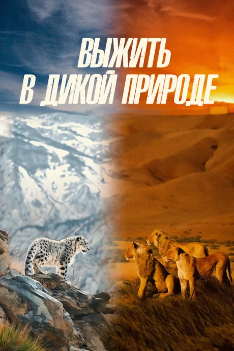 Выжить в дикой природе — постер