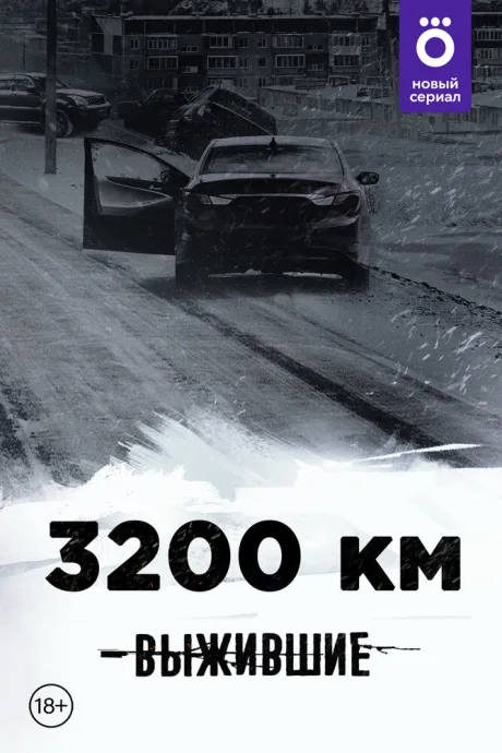 Выжившие: 3200 км — постер