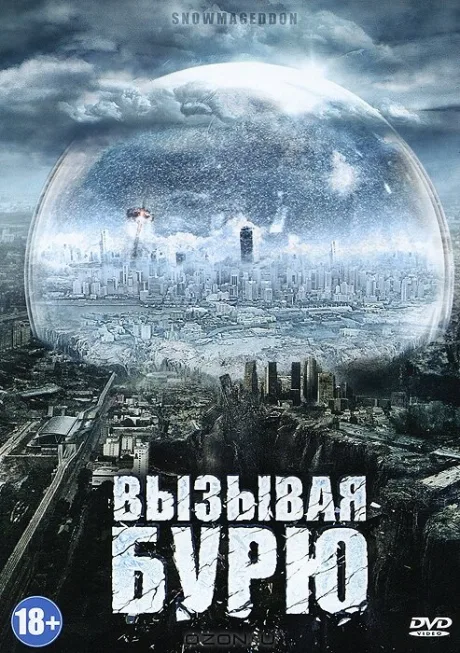 Вызывая бурю — постер