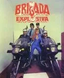 Взрывная бригада — постер