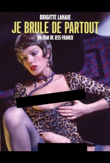 Я горю со всех сторон — постер