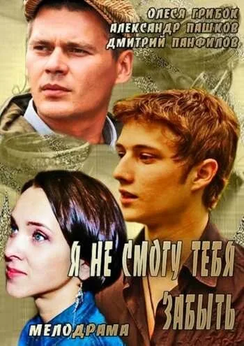 Я не смогу тебя забыть — постер