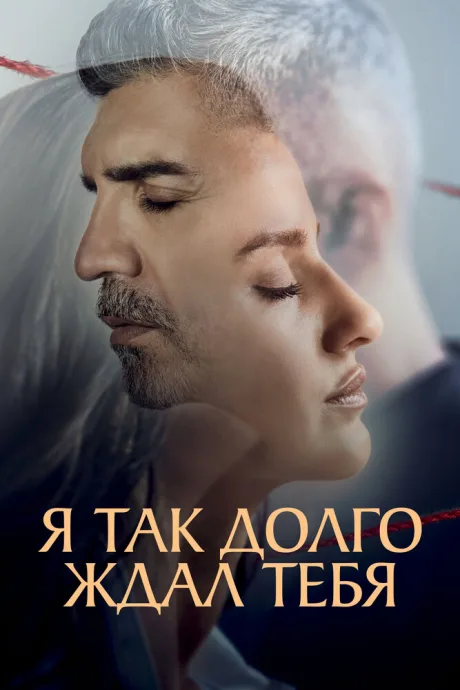 Я так долго ждал тебя — постер