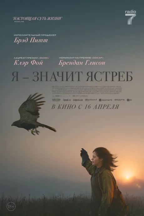 Я — значит Ястреб — постер