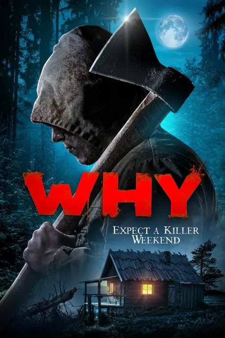 За что? — постер