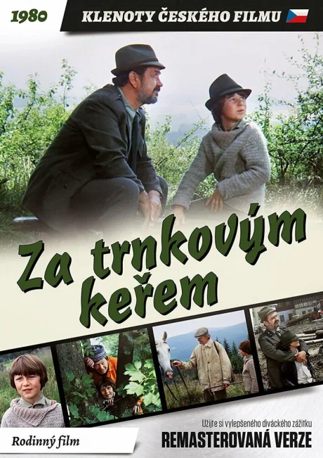 За кустами терновника — постер