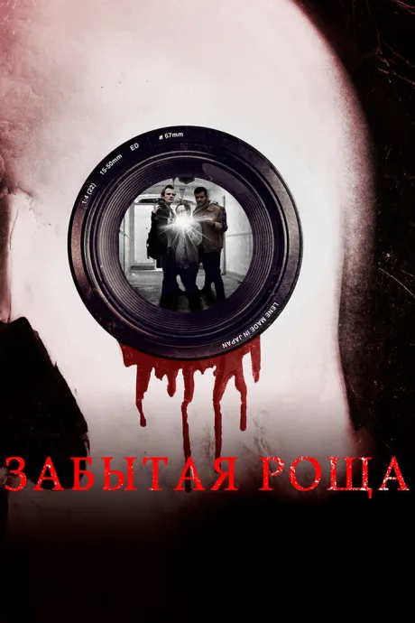 Забытая роща — постер
