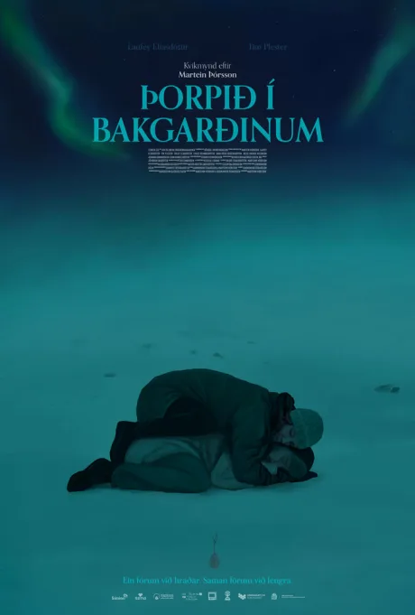 Задворки — постер