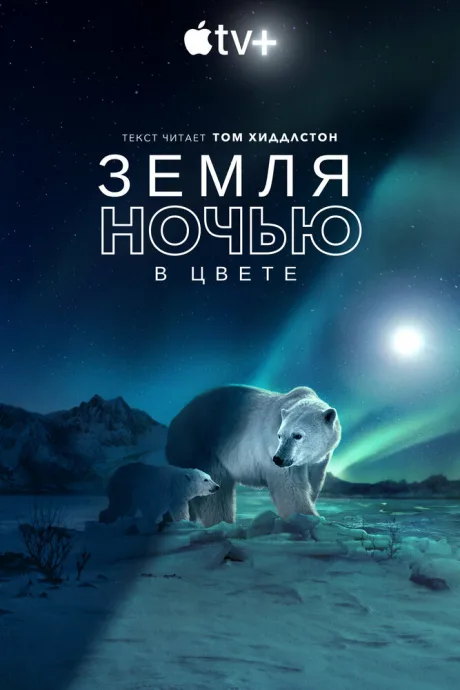Земля ночью в цвете — постер