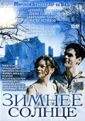 Зимнее солнце — постер