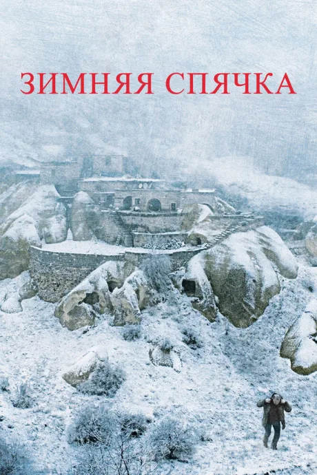 Зимняя спячка — постер