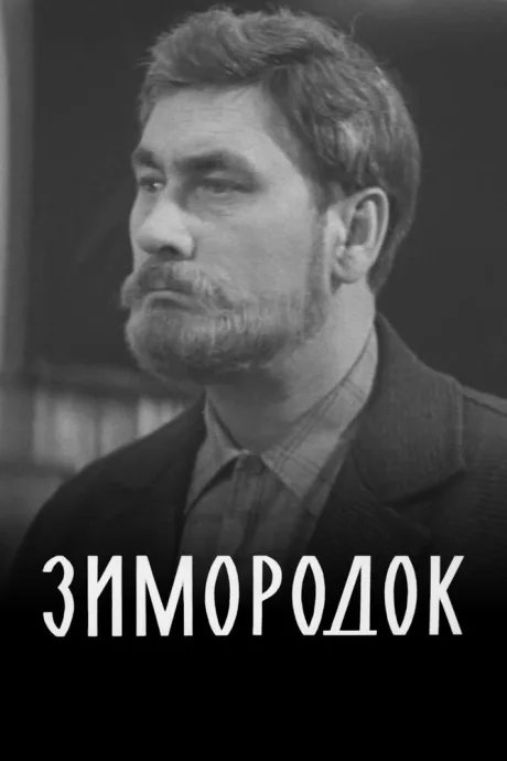 Зимородок — постер