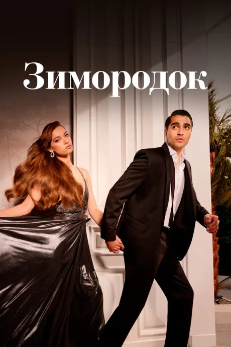 Зимородок — постер