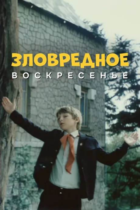 Зловредное воскресенье — постер