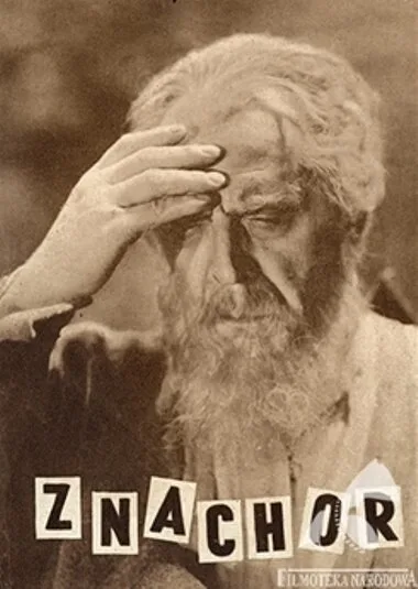 Знахарь — постер