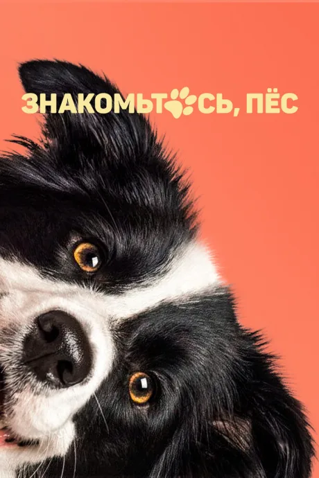 Знакомьтесь, пёс — постер