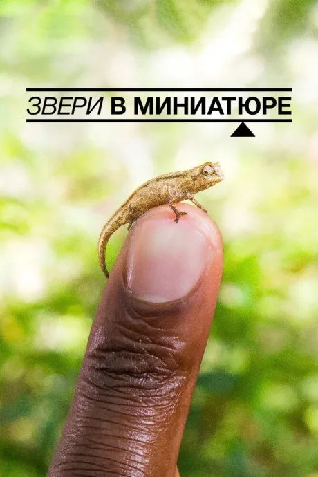 Звери в миниатюре — постер