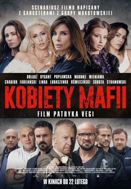 Женщины мафии — постер
