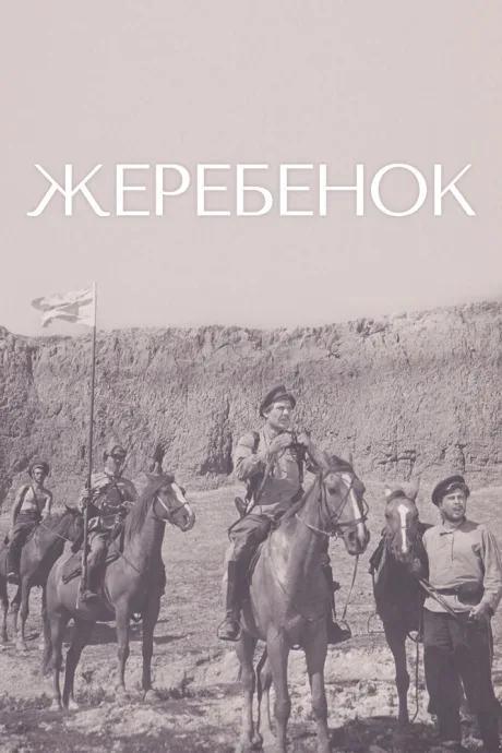 Жеребенок — постер