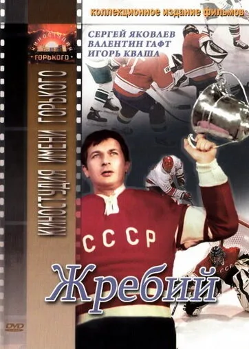 Жребий — постер